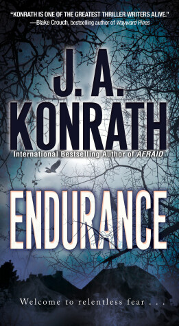 Book cover for Endurance