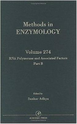 Cover of RNA Polymerase and Associated Factors, Part B