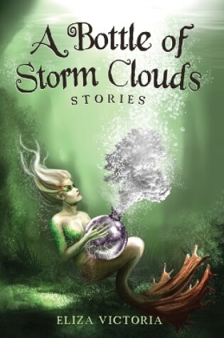 Cover of A Bottle of Storm Clouds