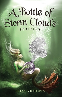 Book cover for A Bottle of Storm Clouds