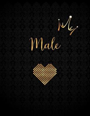 Book cover for Male