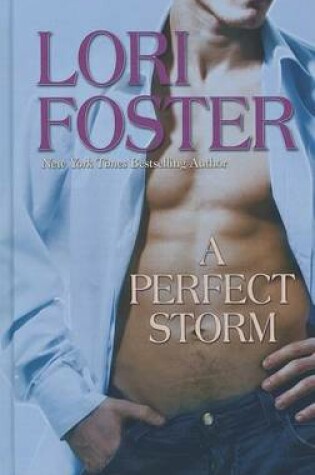 Cover of A Perfect Storm