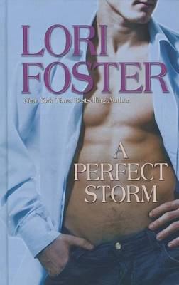 Cover of A Perfect Storm