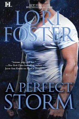 Cover of A Perfect Storm