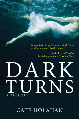Book cover for Dark Turns