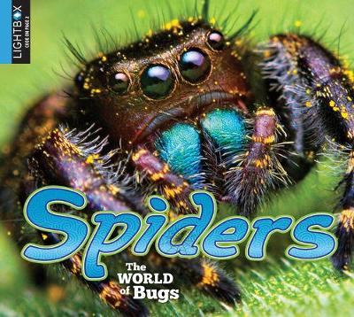 Book cover for Spiders