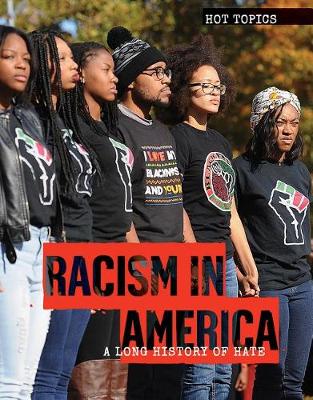 Book cover for Racism in America