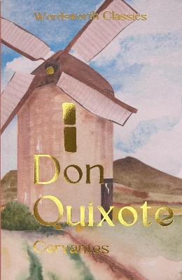 Book cover for Don Quixote