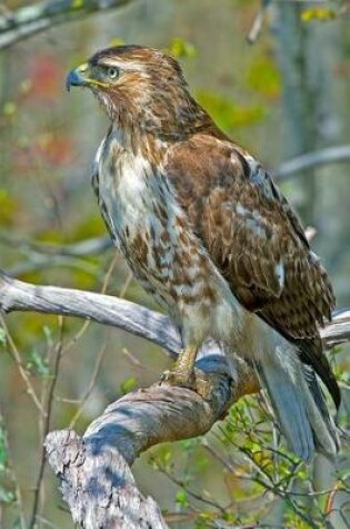 Cover of The Red-Tailed Hawk Journal