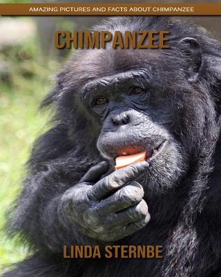 Book cover for Chimpanzee