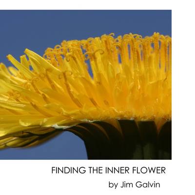 Book cover for Finding the Inner Flower