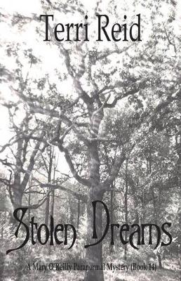 Book cover for Stolen Dreams - A Mary O'Reilly Paranormal Mystery - Book Fourteen