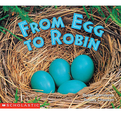 Book cover for From Egg to Robin