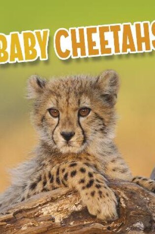 Cover of Baby Cheetahs