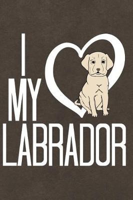 Book cover for Labrador