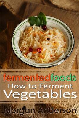 Book cover for Fermented Foods