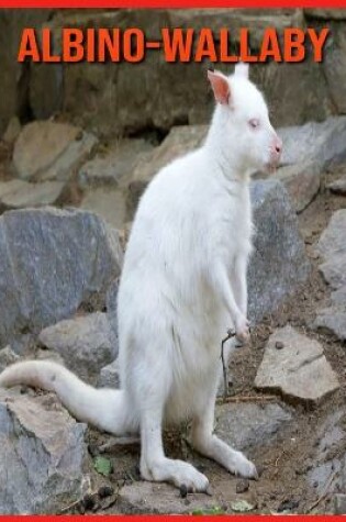 Cover of Albino-Wallaby