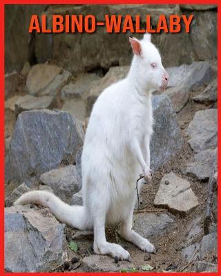 Book cover for Albino-Wallaby