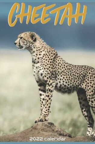 Cover of Cheetah 2022 Calendar