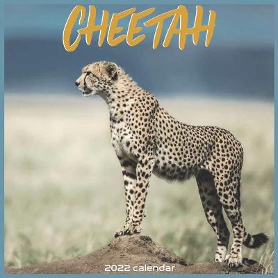 Book cover for Cheetah 2022 Calendar