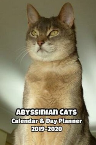 Cover of Abyssinian Cats Calendar & Day Planner 2019-2020