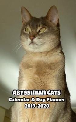 Book cover for Abyssinian Cats Calendar & Day Planner 2019-2020