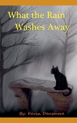 Book cover for What the Rain Washes Away