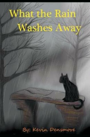 Cover of What the Rain Washes Away