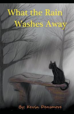 Book cover for What the Rain Washes Away