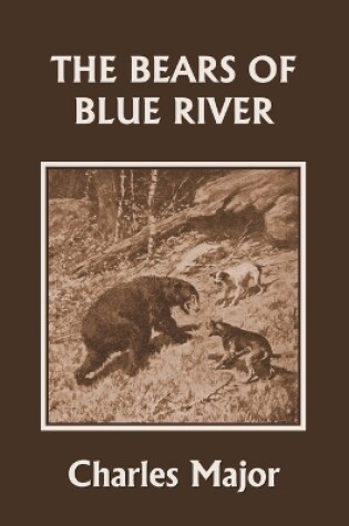 Cover of The Bears of Blue River (Yesterday's Classics)