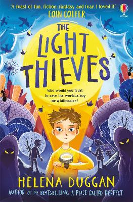 Book cover for The Light Thieves