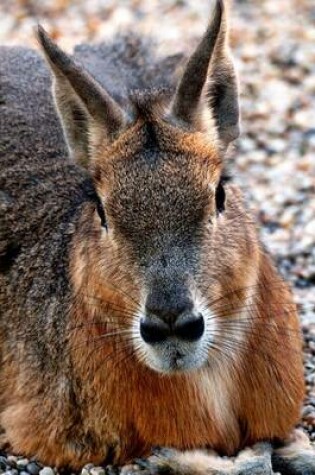 Cover of Patagonian Mara (Dolichotis Patagonum) Animal Portrait Journal