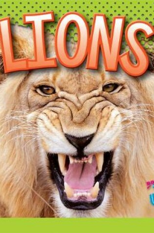 Cover of Lions