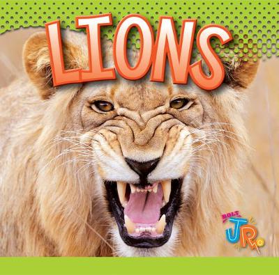 Book cover for Lions