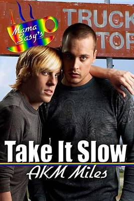 Book cover for Take It Slow