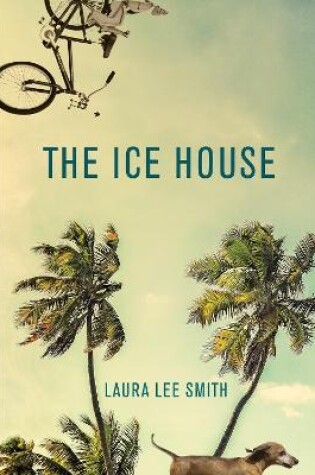 Cover of The Ice House