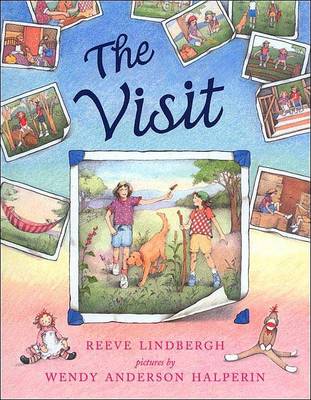 Book cover for The Visit