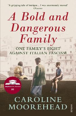 Cover of A Bold and Dangerous Family