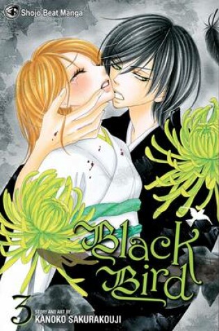 Cover of Black Bird, Vol. 3