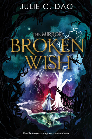 Cover of The Mirror: Broken Wish