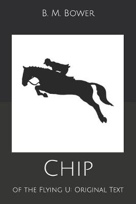 Book cover for Chip