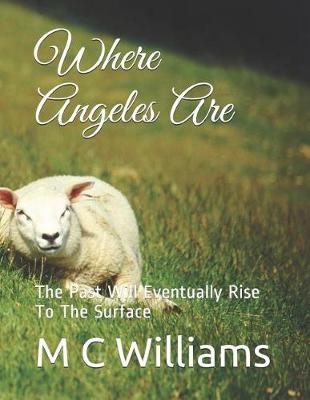 Book cover for Where Angeles Are