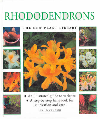 Book cover for Rhododendrons