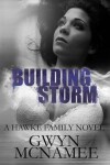 Book cover for Building Storm