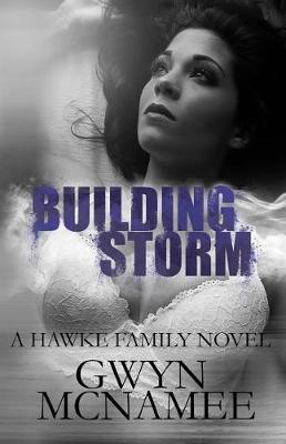 Book cover for Building Storm