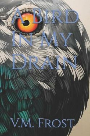 Cover of A Bird In My Drain