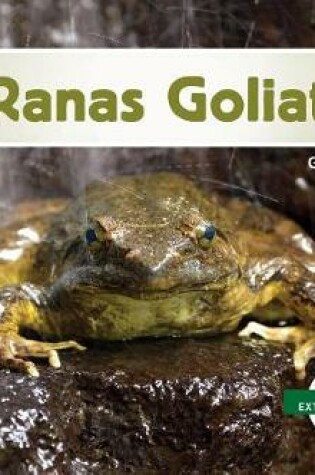 Cover of Ranas Goliat (Goliath Frogs)