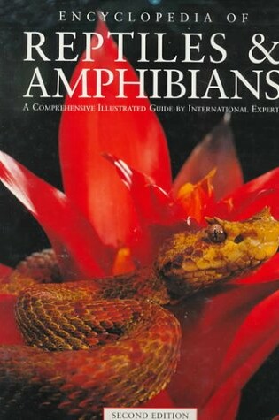 Cover of Encyclopedia of Reptiles & Amphibians