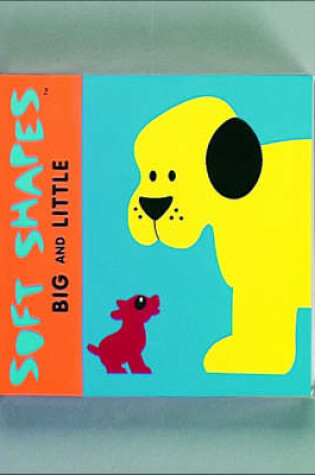 Cover of Big and Little