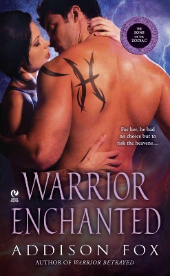 Book cover for Warrior Enchanted